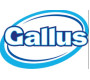 Gallus